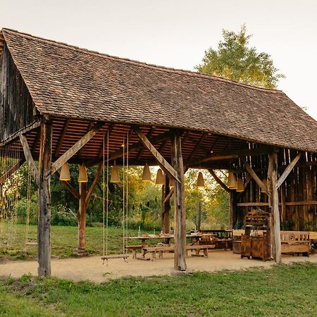 Pensiunea Săsăuș 24 Hotel Carta  Exterior foto