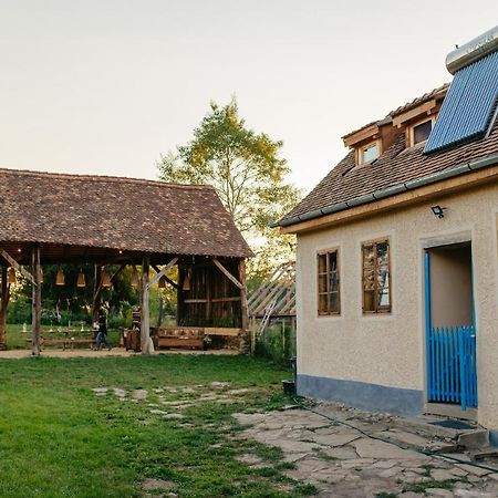 Pensiunea Săsăuș 24 Hotel Carta  Exterior foto