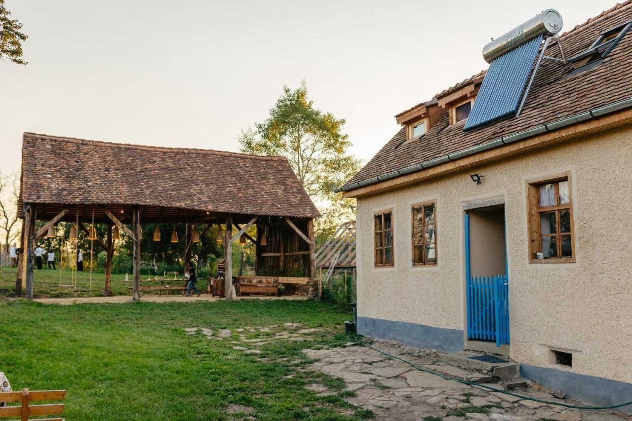 Pensiunea Săsăuș 24 Hotel Carta  Exterior foto